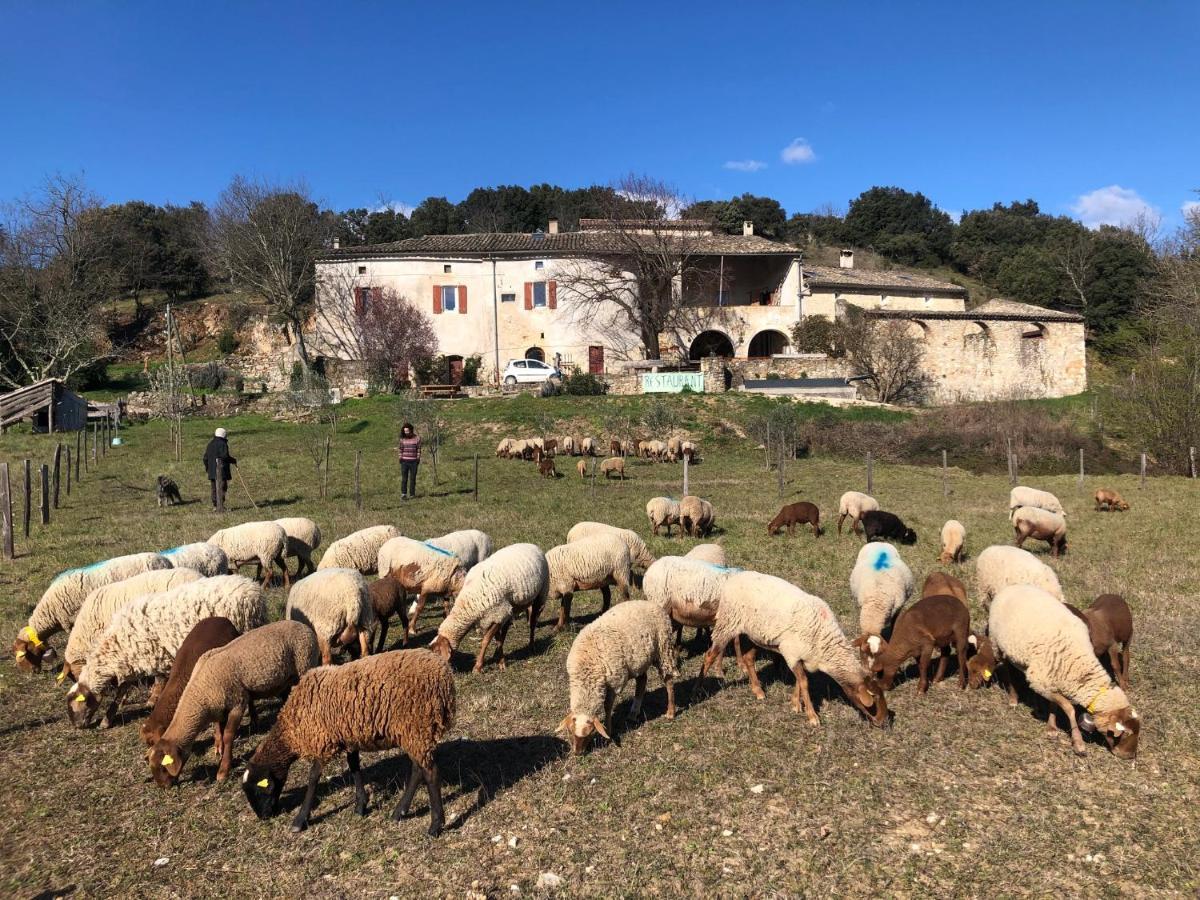 Gîtes La ferme accrochée à la colline Lagorce  Extérieur photo